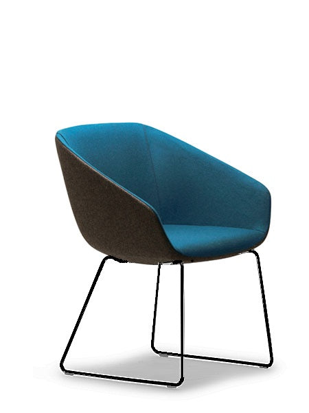 Delphi Meeting Chair