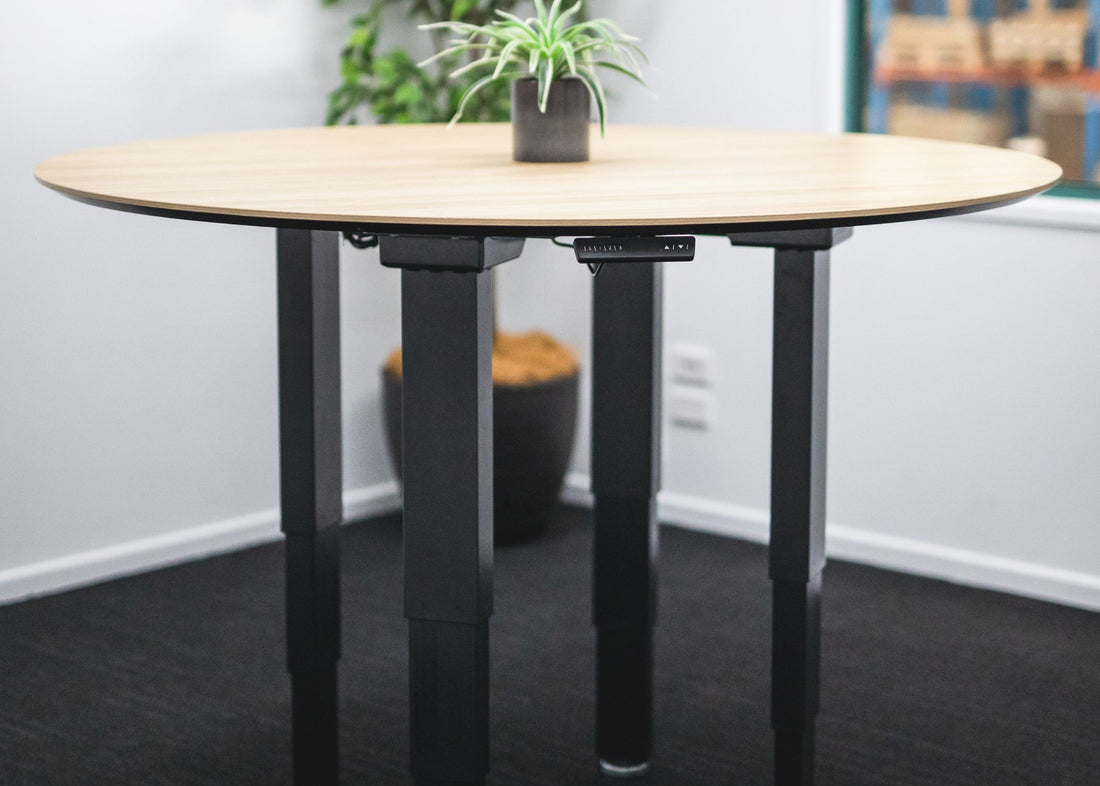 Custom Electric Adjustable Desk Frame