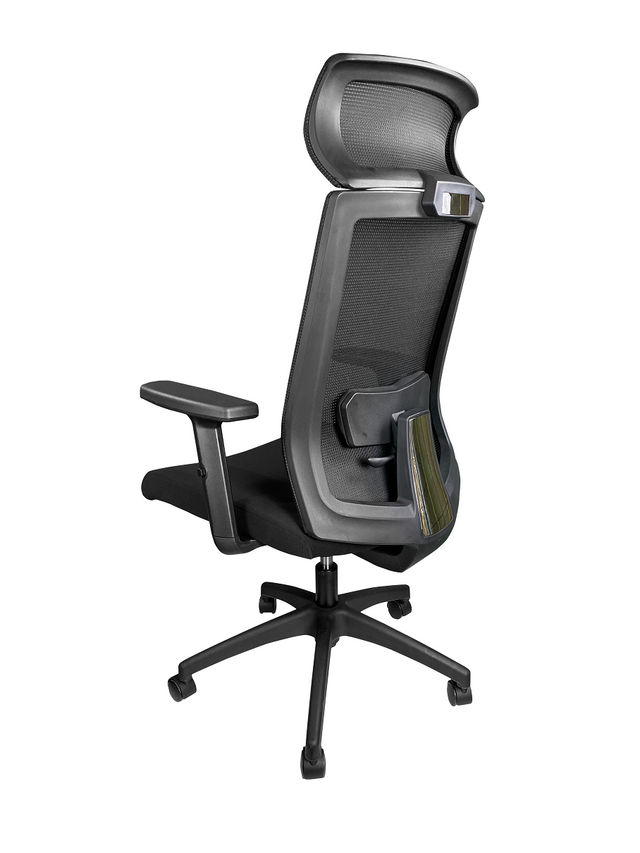 Ralui Task Chair